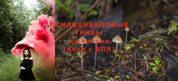 spice Алексеевка