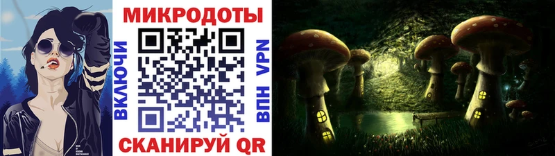 Псилоцибиновые грибы Psilocybine cubensis  Протвино 