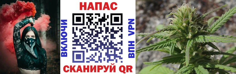 МАРИХУАНА White Widow  МЕГА tor  Протвино 